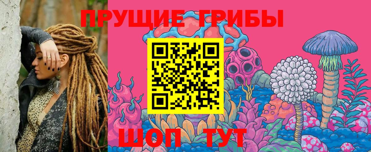 Псилоцибиновые грибы Psilocybe  магазин продажи   Всеволожск  Псилоцибиновые грибы ЛСД  Вход с VPN 